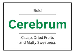 CEREBRUM