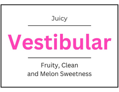 Vestibular