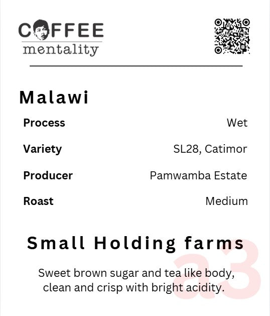 Malawi Small Holding Farmers