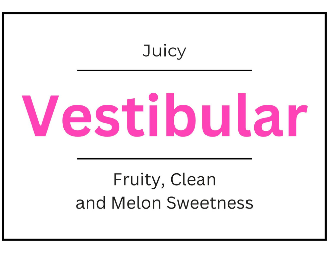 Vestibular
